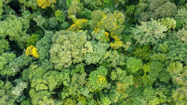 Les jeux unlock : une aventure immersive à chaque partie