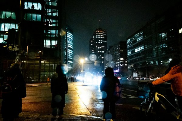 Le Rôle Vital des Zoos et Réserves dans la Protection de la Faune : Une Alliance Essentielle pour la Conservation Animale